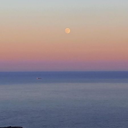 شقة Alma De Mar بينايدورم المظهر الخارجي الصورة